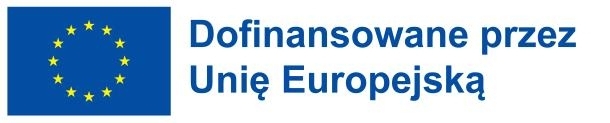 logo - Dofinansowane przez Unię Europejską