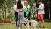 Dogoterapia | Studia podyplomowe we Wrocławiu | Uniwersytet Dolnośląski DSW we Wrocławiu: studenci rozmawiający w kole, na pierwszym planie stoi pies rasy Husky