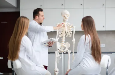 Wyniki wyszukiwania | Uniwersytet Dolnośląski DSW we Wrocławiu: Studenci na zajęciach