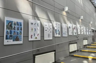 Galeria prac | Uniwersytet Dolnośląski DSW we Wrocławiu: Obrazy studentów