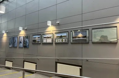 Galeria prac | Uniwersytet Dolnośląski DSW we Wrocławiu: Obrazy studentów