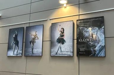 Galeria prac | Uniwersytet Dolnośląski DSW we Wrocławiu: Zdjęcia kostiumów baletowych