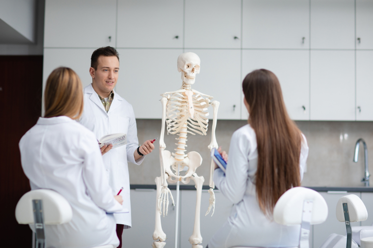 Fizjoterapia | Studia jednolite magisterskie we Wrocławiu | Uniwersytet Dolnośląski DSW we Wrocławiu: zajęcia z anatomii człowieka, studenci w białych fartuchach 