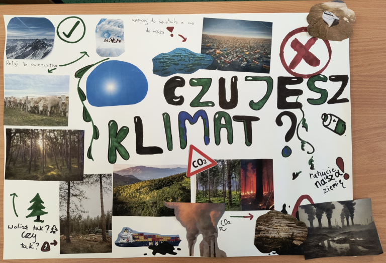 Sustainable Environmental Education by Integrating P4C Education Into STEAM Courses | Uniwersytet Dolnośląski DSW we Wrocławiu: Cykl zajęć pozalekcyjnych dla uczniów szkoły podstawowej 